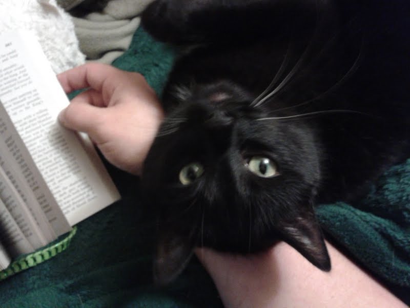 No reading allowed. © Lori Cultir. Photo used with permission.