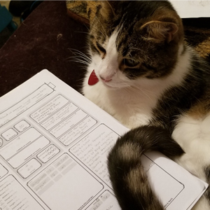 Aerys and character sheet. © Kris Burger