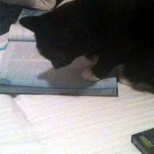 Zuko reading gaming book.© Kate and Roberto Paiz. Used with permission.