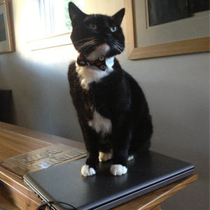 Haughty Zuko. © Kate and Roberto Paiz. Used with permission.