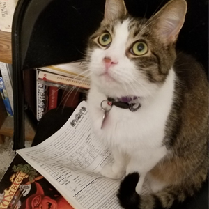 Aerys and character sheet. © Kris Burger