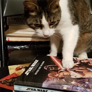 Aerys and gaming books. © Kris Burger