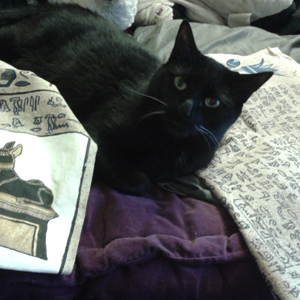 Morrigan on LARPing supplies. © Lori Cultir