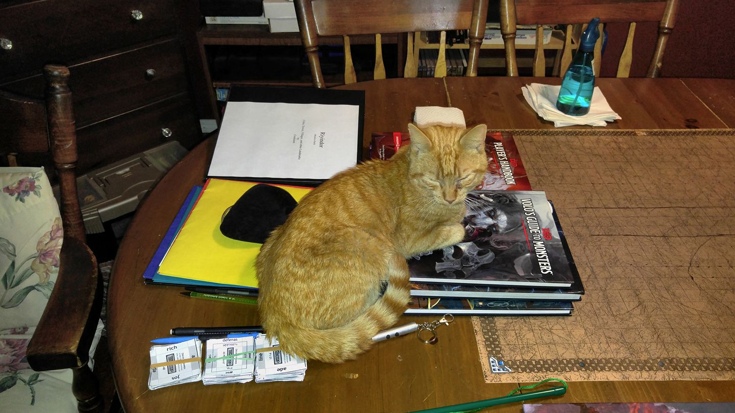 Turtle © Copyright Jared Parker